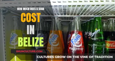 The Price of Fizziness: Soda Costs in Belize