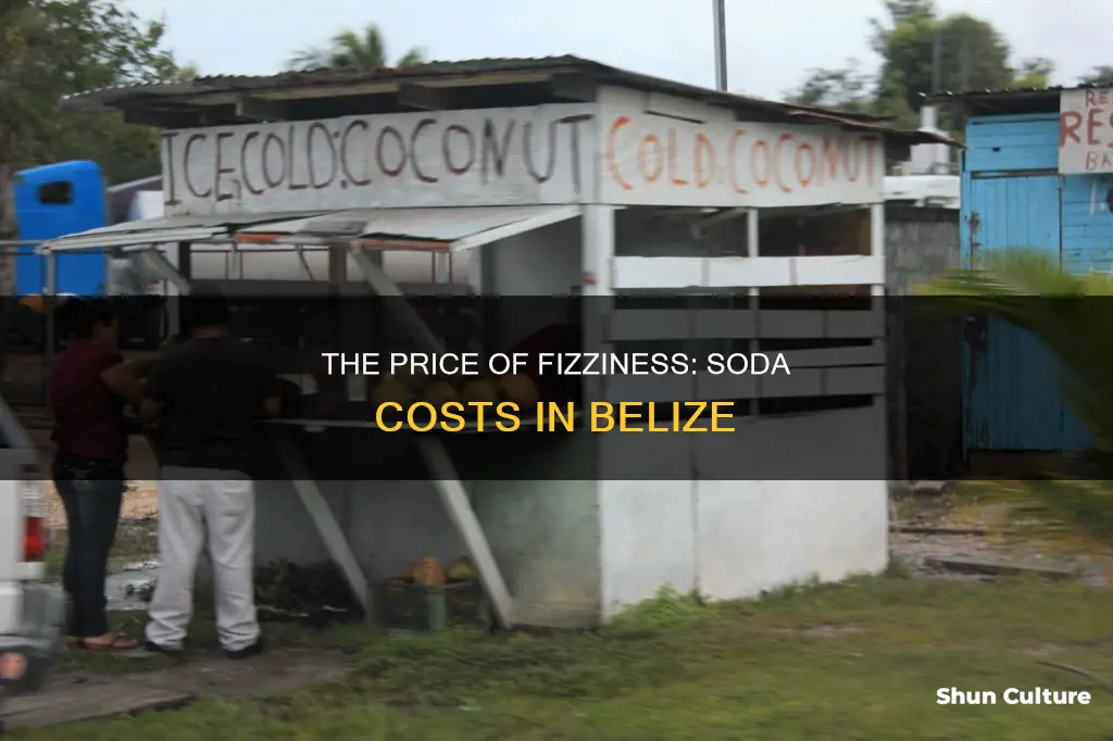 how much does a soda cost in belize