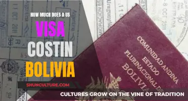 US Visa Costs in Bolivia: A Traveler's Guide