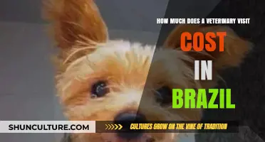 Understanding Veterinary Visit Costs in Brazil: A Comprehensive Price Guide