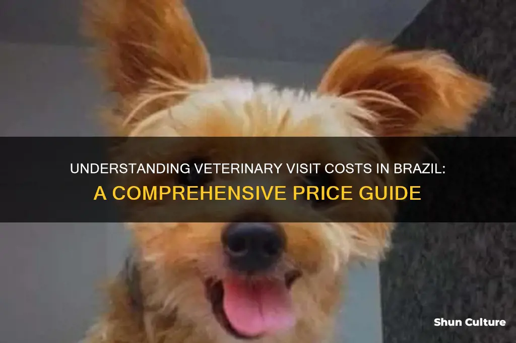how much does a veterinary visit cost in brazil