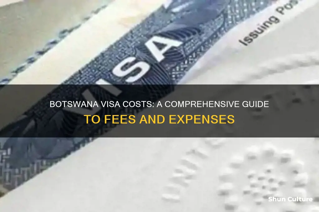 how much does a visa cost for botswana
