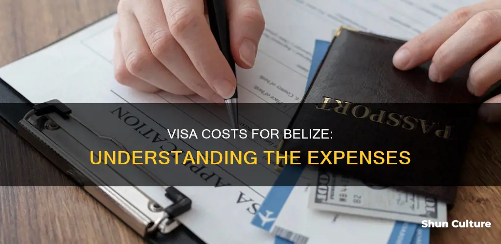 how much does a visa cost in belize