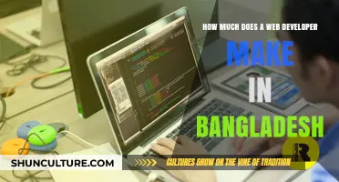 Web Developer Salaries in Bangladesh: A Comprehensive Earnings Guide