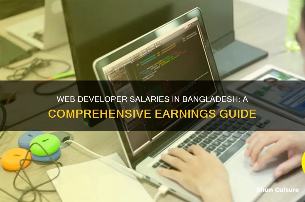 how much does a web developer make in bangladesh