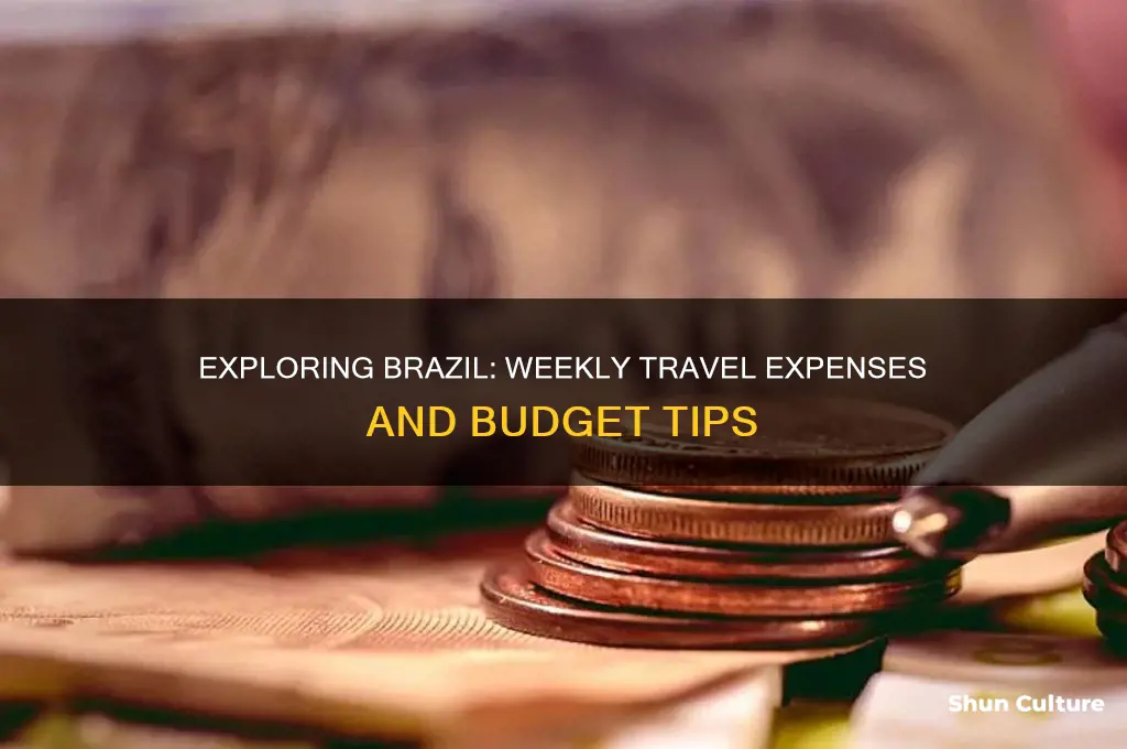 how much does a week in brazil cost