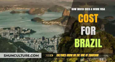 Brazil Work Visa Costs: A Comprehensive Guide for Foreigners