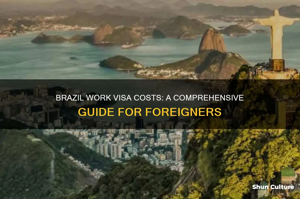 how much does a work visa cost for brazil