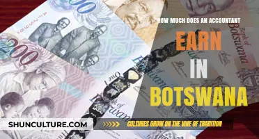 Accountant Salaries in Botswana: A Comprehensive Earnings Overview