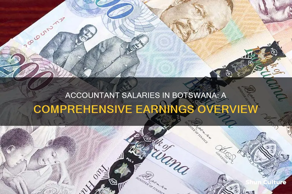 how much does an accountant earn in botswana