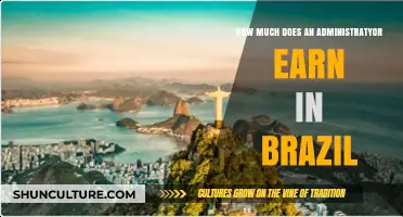 Administrator Salaries in Brazil: Understanding Earnings and Career Growth