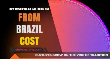 Brazil E-Visa Cost Guide: Fees and Application Expenses Explained