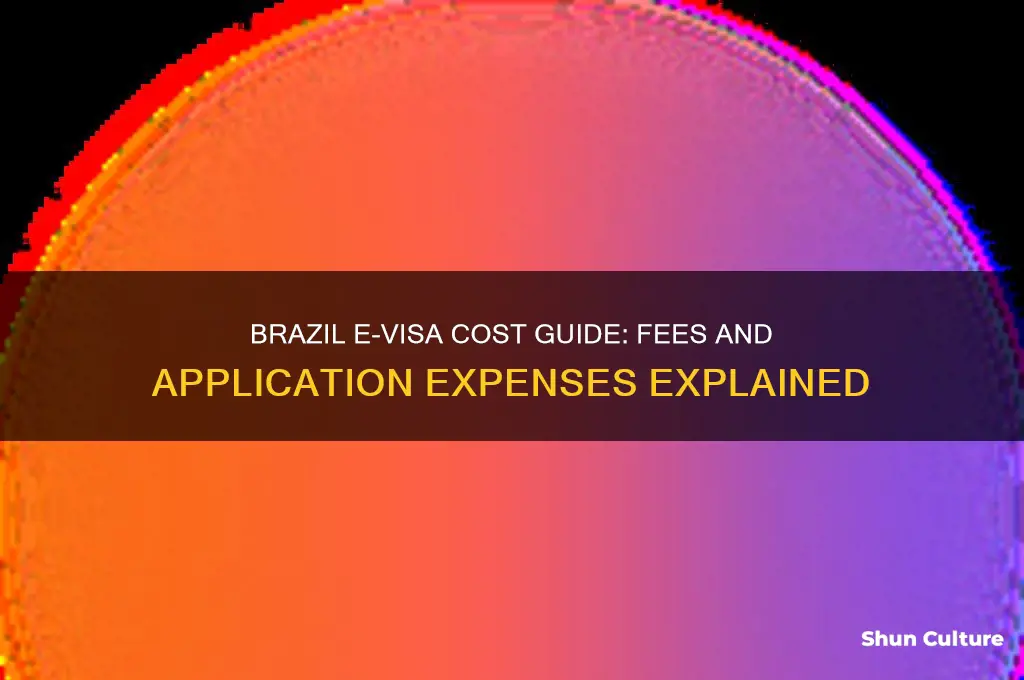 how much does an electronic visa from brazil cost