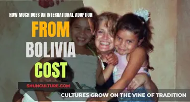 Adopting from Bolivia: Understanding the Financial Commitment