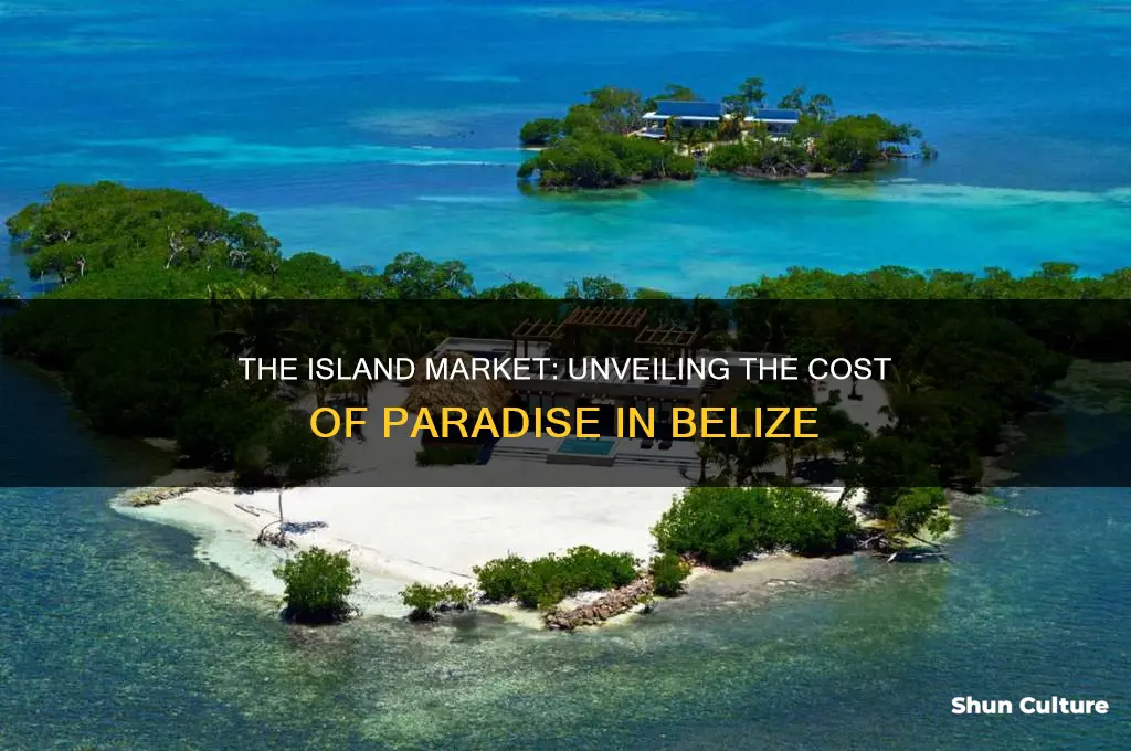 how much does an island cost in belize