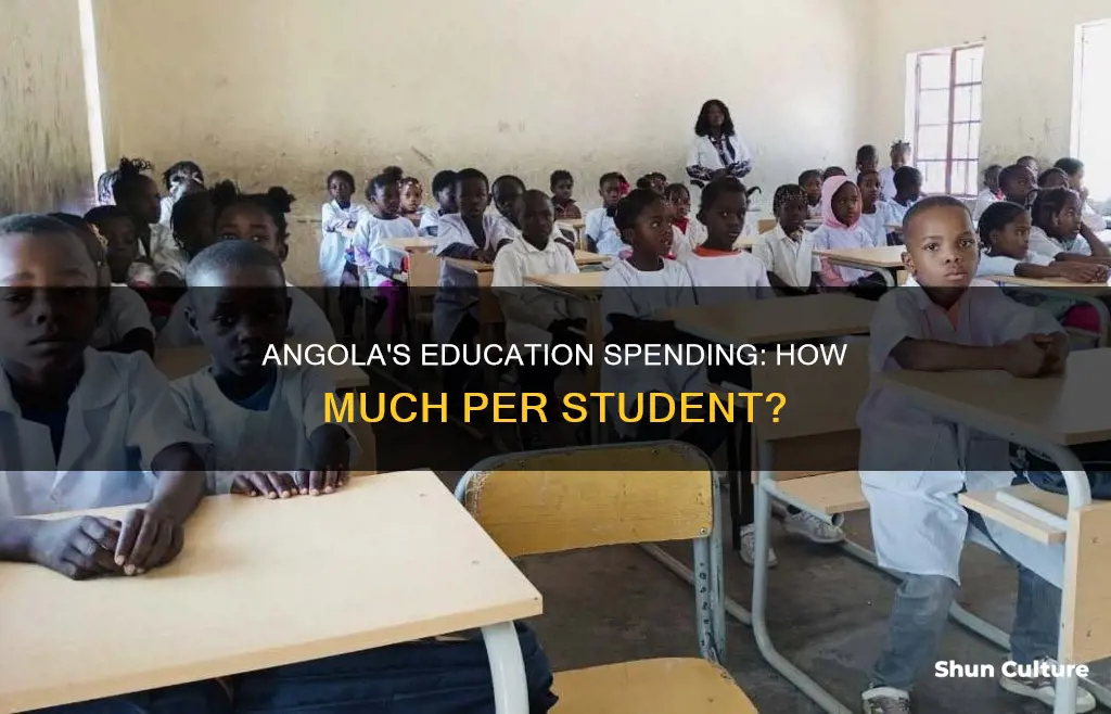 how much does angola government spend on education per student