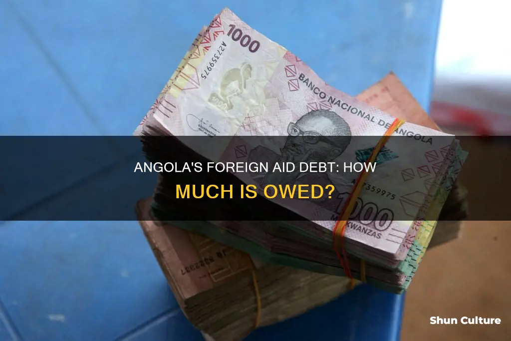 how much does angola owe in foreign aid