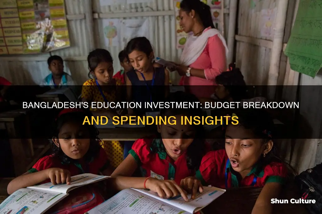 how much does bangladesh spend on education