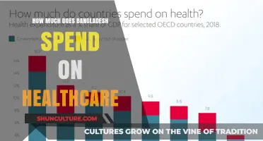 Bangladesh's Healthcare Expenditure: Analyzing Costs and Budget Allocations
