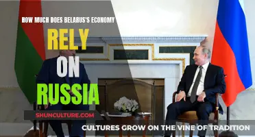 Belarus's Economic Dependence on Russia: How Much?