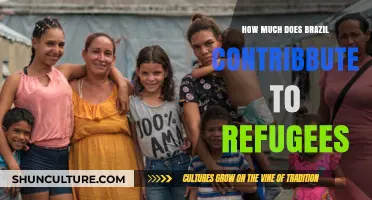 Brazil's Refugee Support: Contributions, Impact, and Global Role