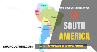 Brazil's Dominant Footprint: How Much of South America Does It Cover?