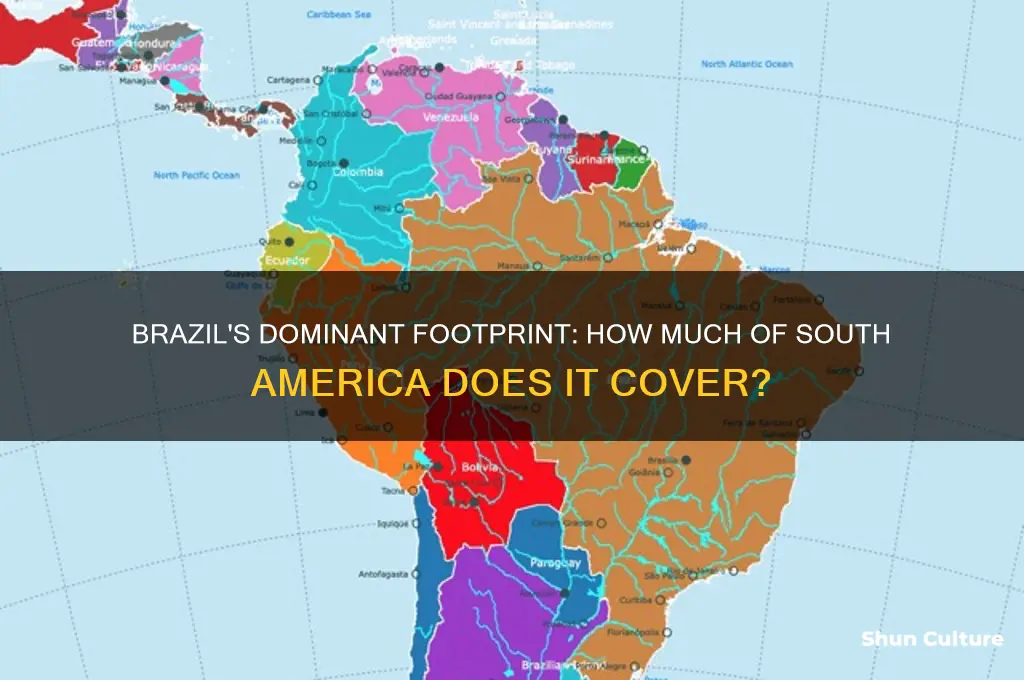 how much does brazil cover of south america