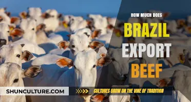 Brazil's Beef Exports: Analyzing Volume, Value, and Global Impact