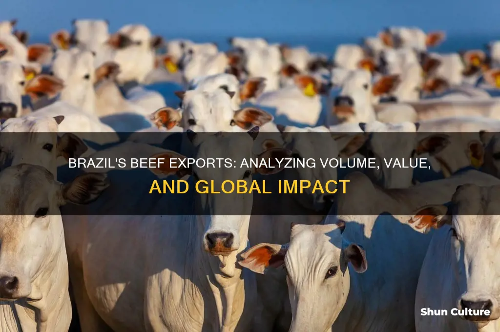 how much does brazil export beef