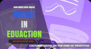 Brazil's Education Investment: Unveiling Funding Priorities and Impact