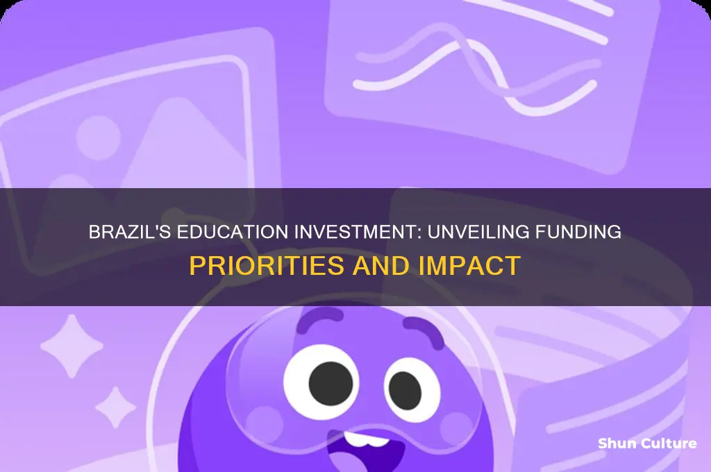 how much does brazil invest in eduaction