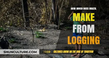 Brazil's Logging Industry: Revenue, Impact, and Economic Contributions Explored