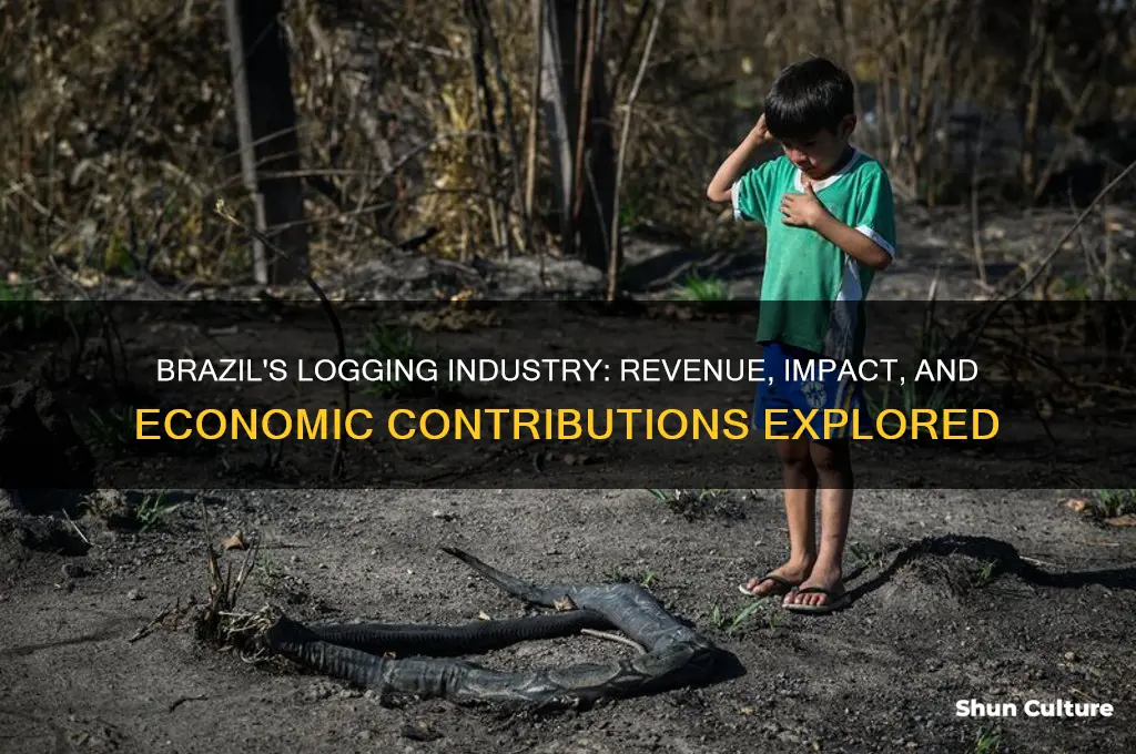 how much does brazil make from logging