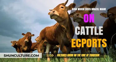 Brazil's Cattle Export Earnings: A Comprehensive Financial Overview