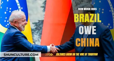 Brazil's Debt to China: Unraveling the Financial Ties and Implications