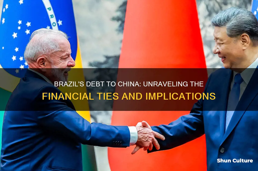 how much does brazil owe china