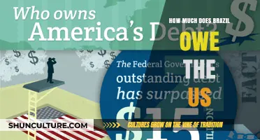 Brazil's Debt to the US: Unraveling the Financial Obligations