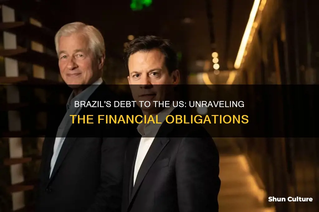 how much does brazil owe the us