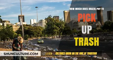 Brazil's Trash Collection Costs: How Much Does It Pay?