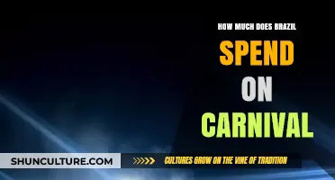 Brazil's Carnival Budget: Unveiling the Cost of the World's Biggest Party