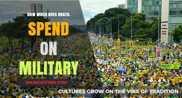 Brazil's Military Expenditure: Analyzing Defense Spending and Budget Allocation
