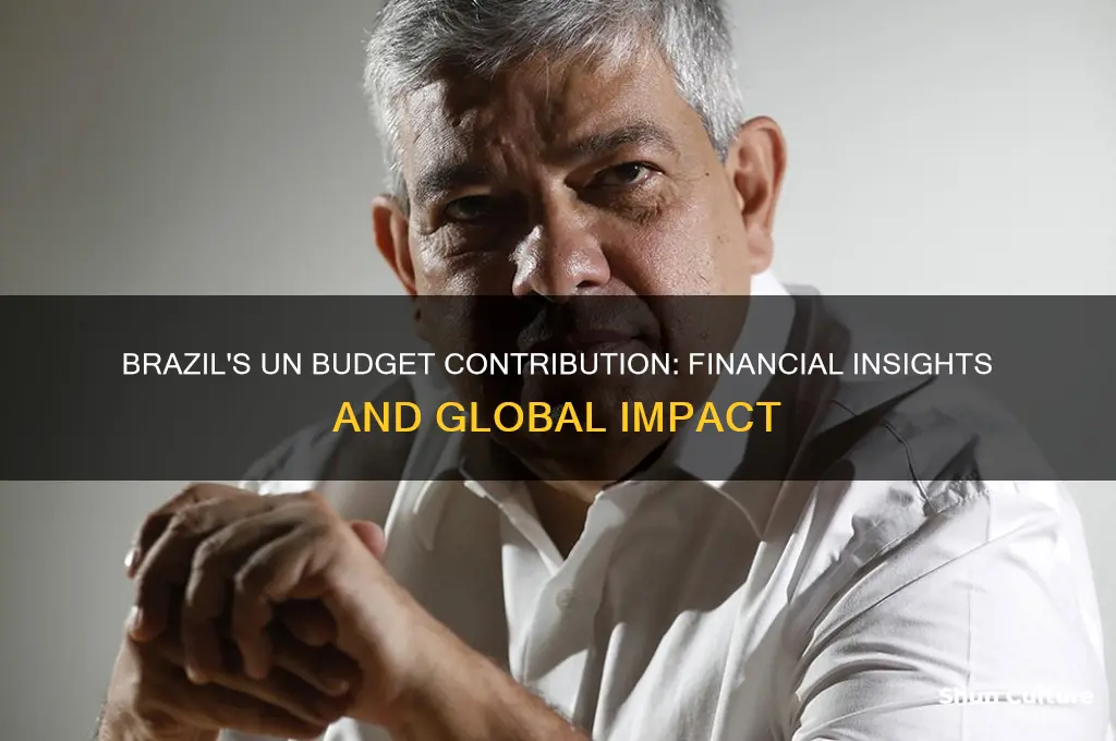 how much does brazil spend on the un budget