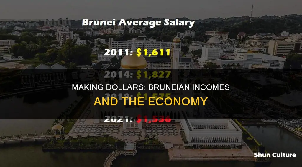 how much does brunei citzen make dollar