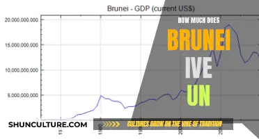 Living in Brunei: The True Cost of Expenses