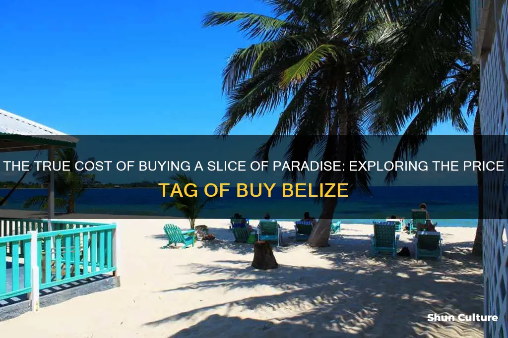 how much does buy belize cost