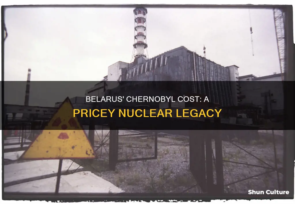 how much does chernobyl cost belarus