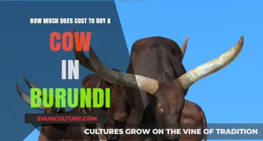 Exploring the Cost of Purchasing a Cow in Burundi