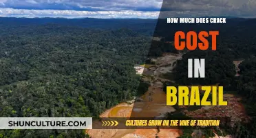 Crack Cocaine Prices in Brazil: A Comprehensive Cost Analysis