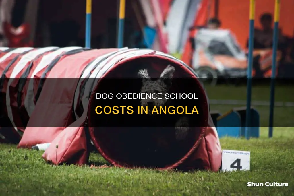 how much does dog obedience school cost near angola