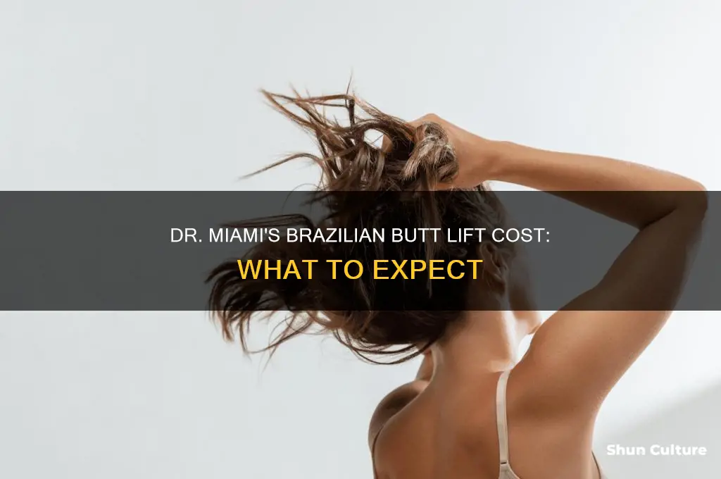 how much does dr miami brazil charge